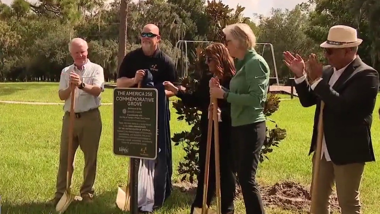 Planting deep roots in Tampa's future