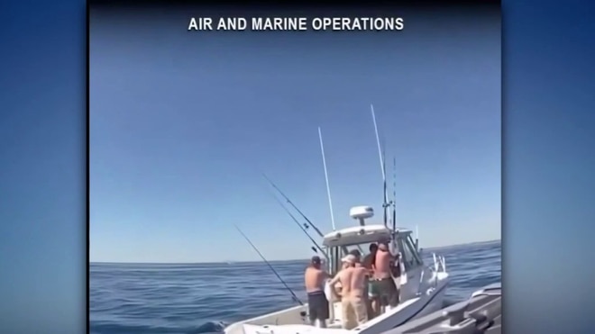 Newport Beach: Maritime Incidents and Natural Wonders playlist