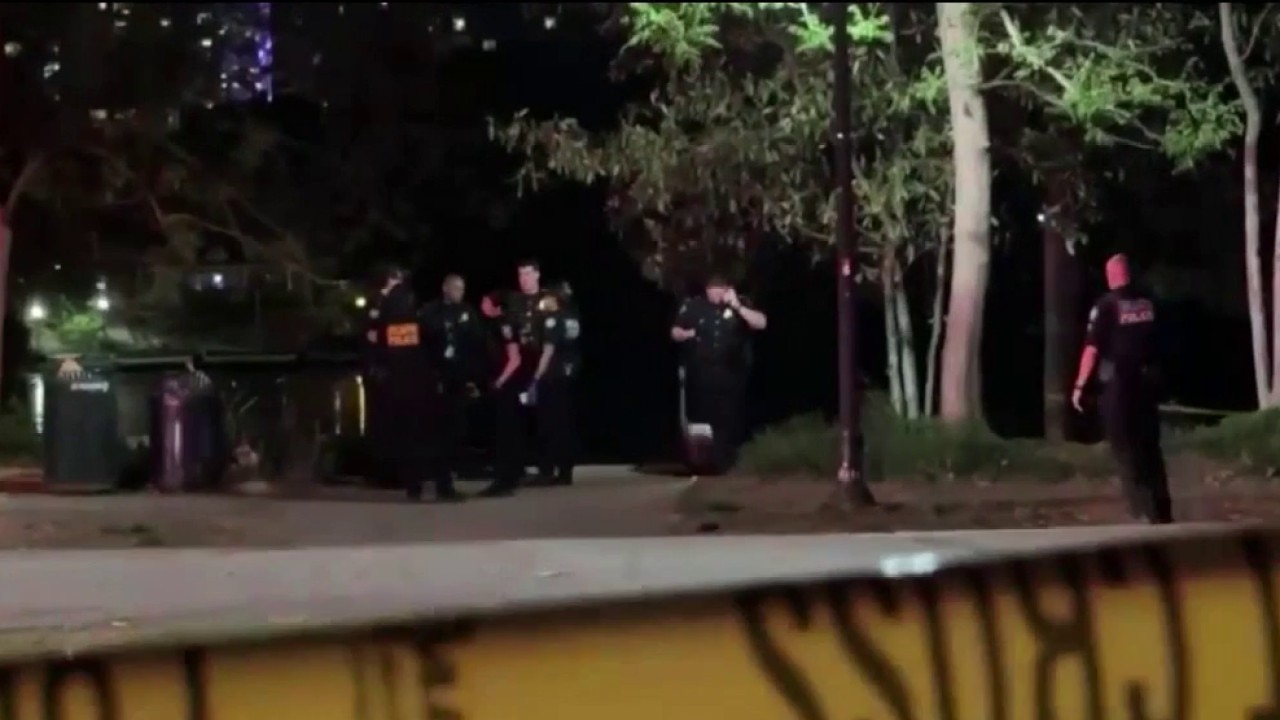 Arrest made in deadly Piedmont Park 404 Day shooting