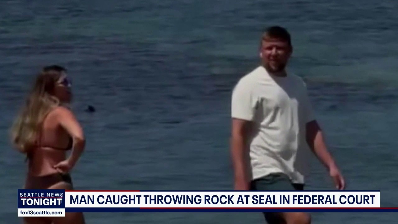 Man accused of throwing rock a Hawaiian seal appears in Seattle court