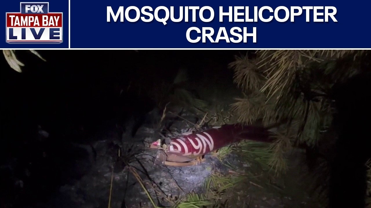 Pilot dead after mosquito helicopter crashes
