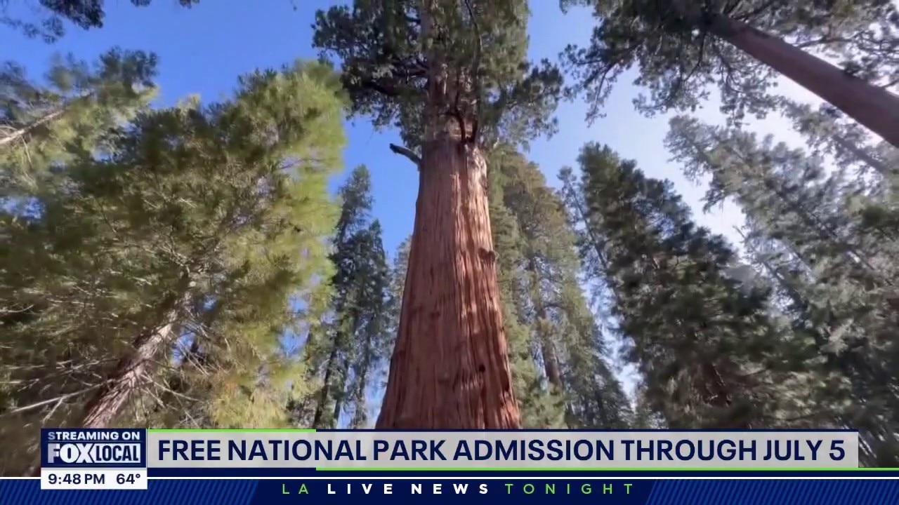 Free national park admission through July 5