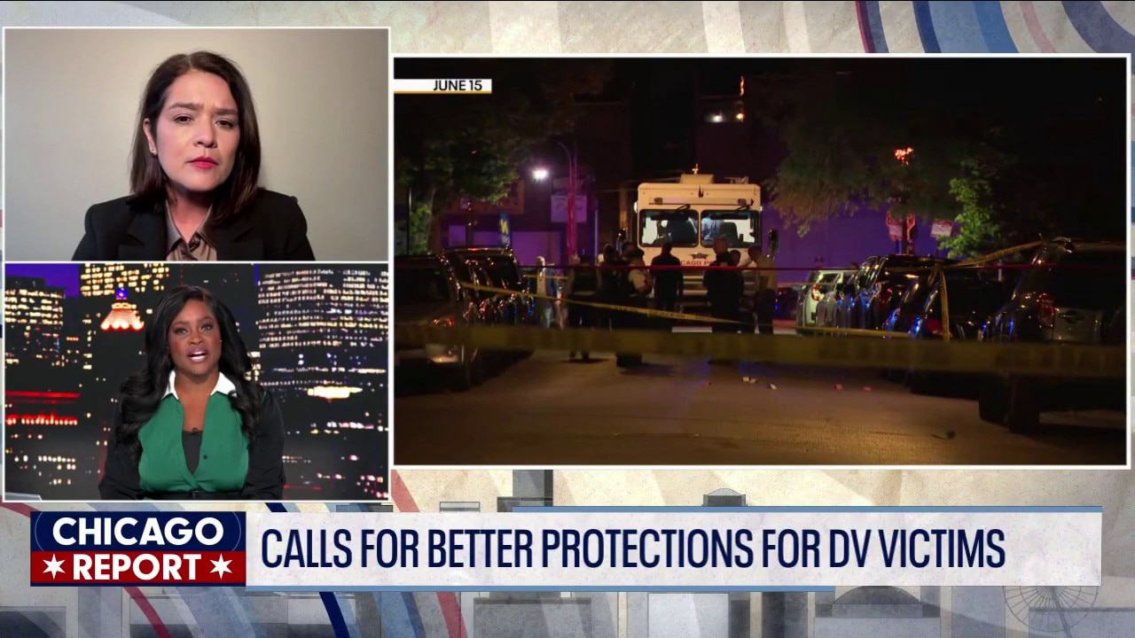 Calls for better protections for domestic violence victims | The Chicago Report