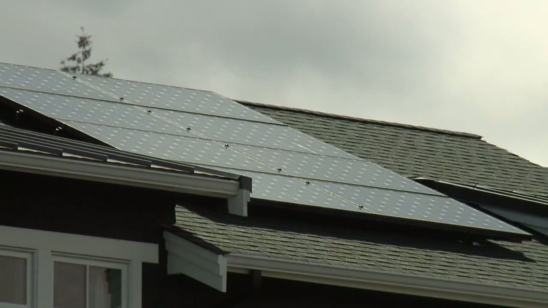 Mercer Island Green Energy