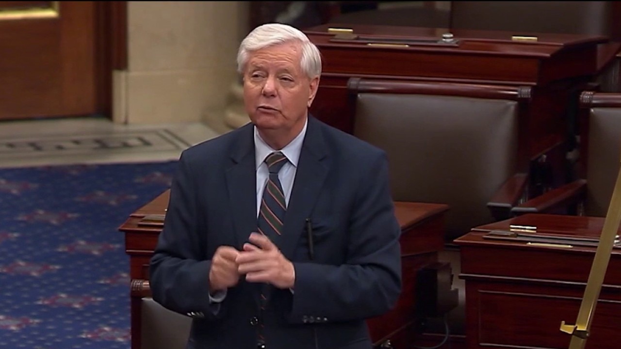 Lindsey Graham’s sister appointed to fill Senate seat until January