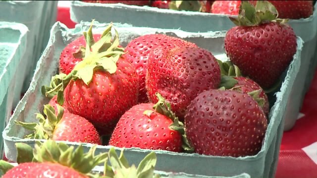 Cedarburg Strawberry Festival