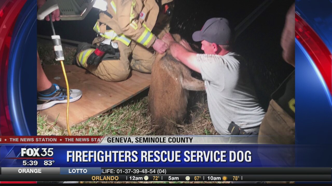 Firefighters rescue service dog in Seminole County