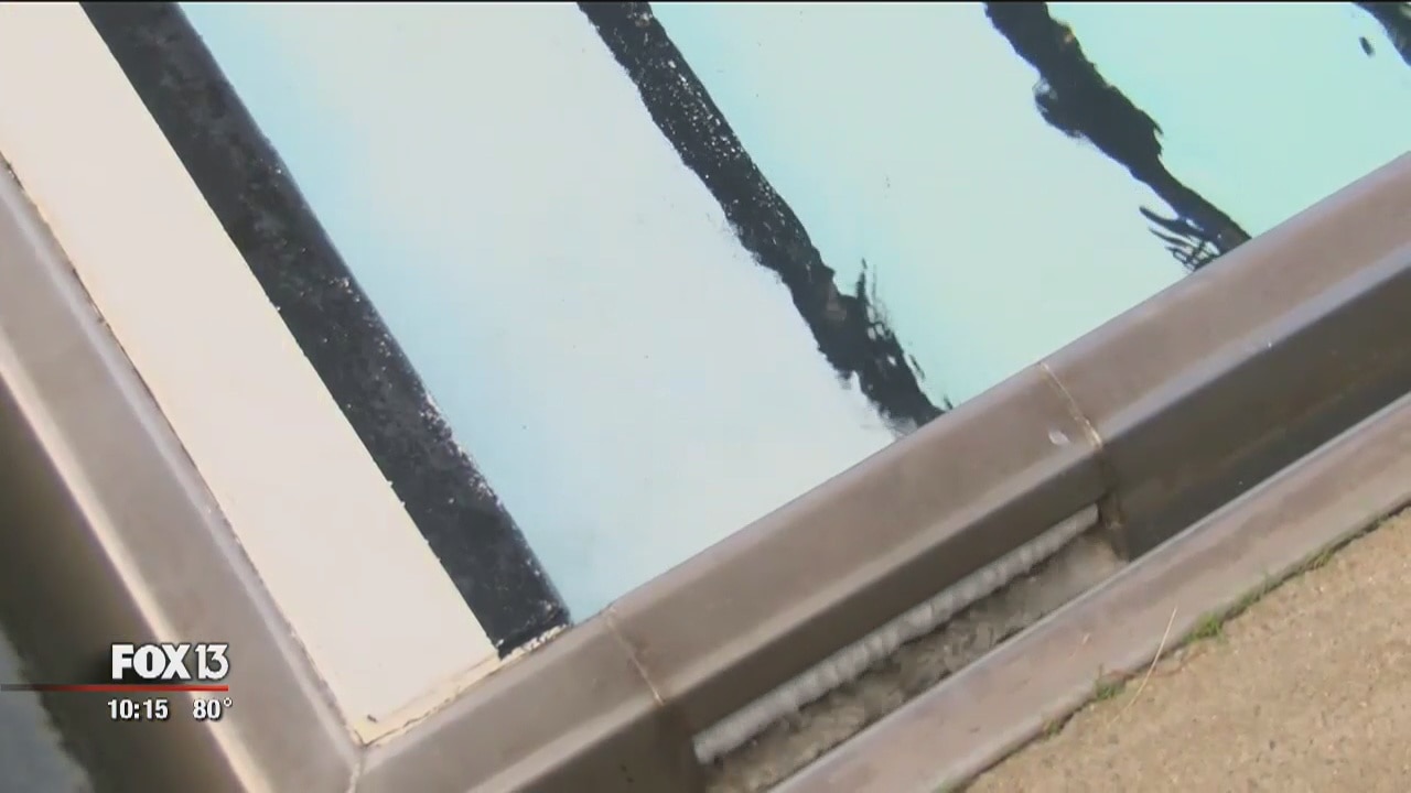 Study: Public pools teeming with bacteria