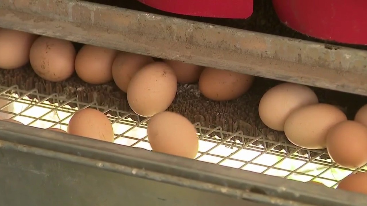 Oconomowoc egg partnership helps local farm feed families in need