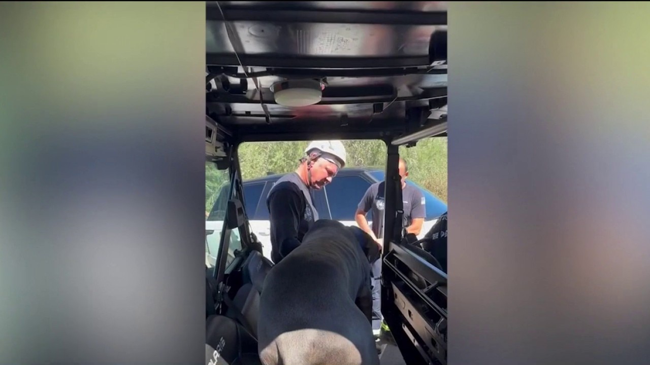 Hikers, 2 dogs rescued from Scottsdale trail after overheating