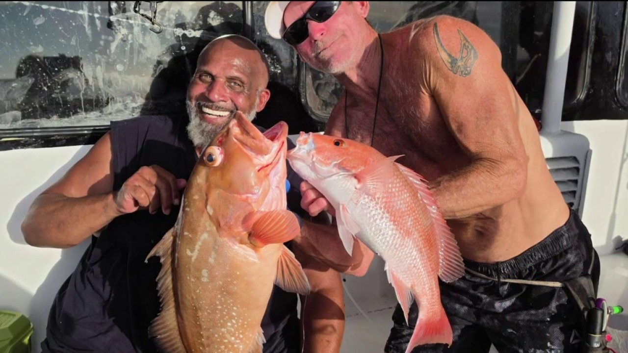 Grouper season underway 