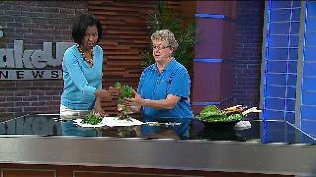 Sharon Morrisey gives the skinny on spinach