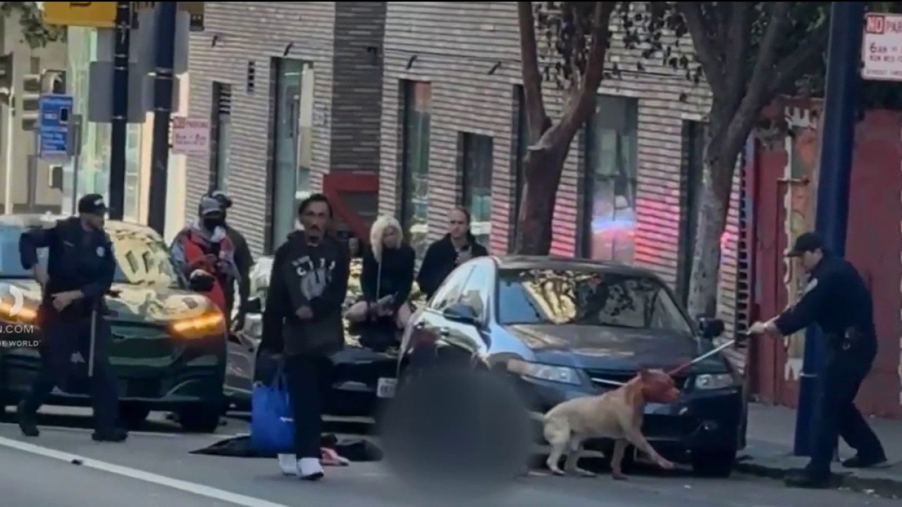 Woman in critical condition after dog attack in SF's Tenderoin