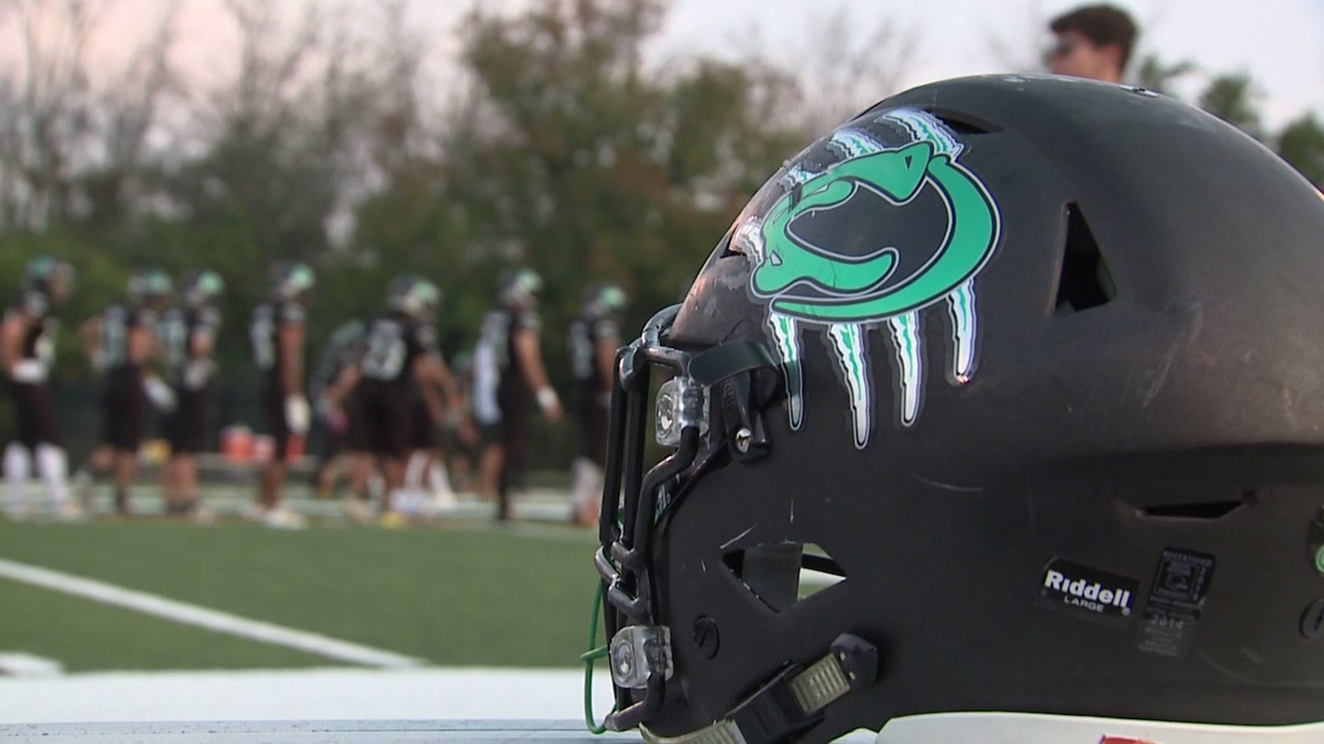 Coach with roots in Greendale coaches Panthers