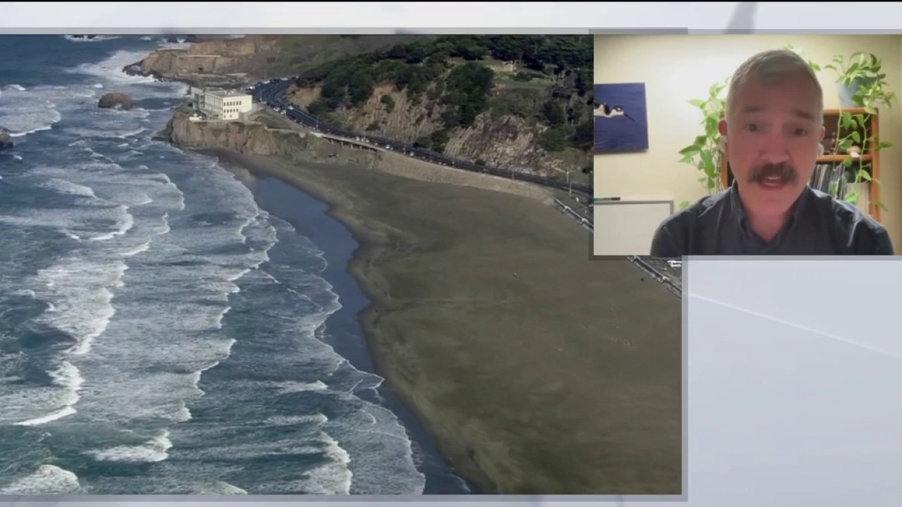 Massive ocean heat wave 'The Blob' devastating wildlife
