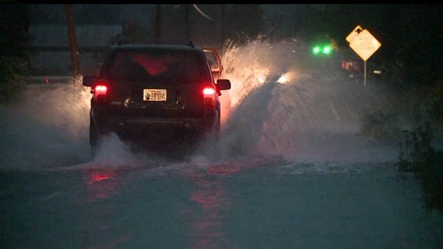 Mason County road floods, salmon decide to mosey on down it