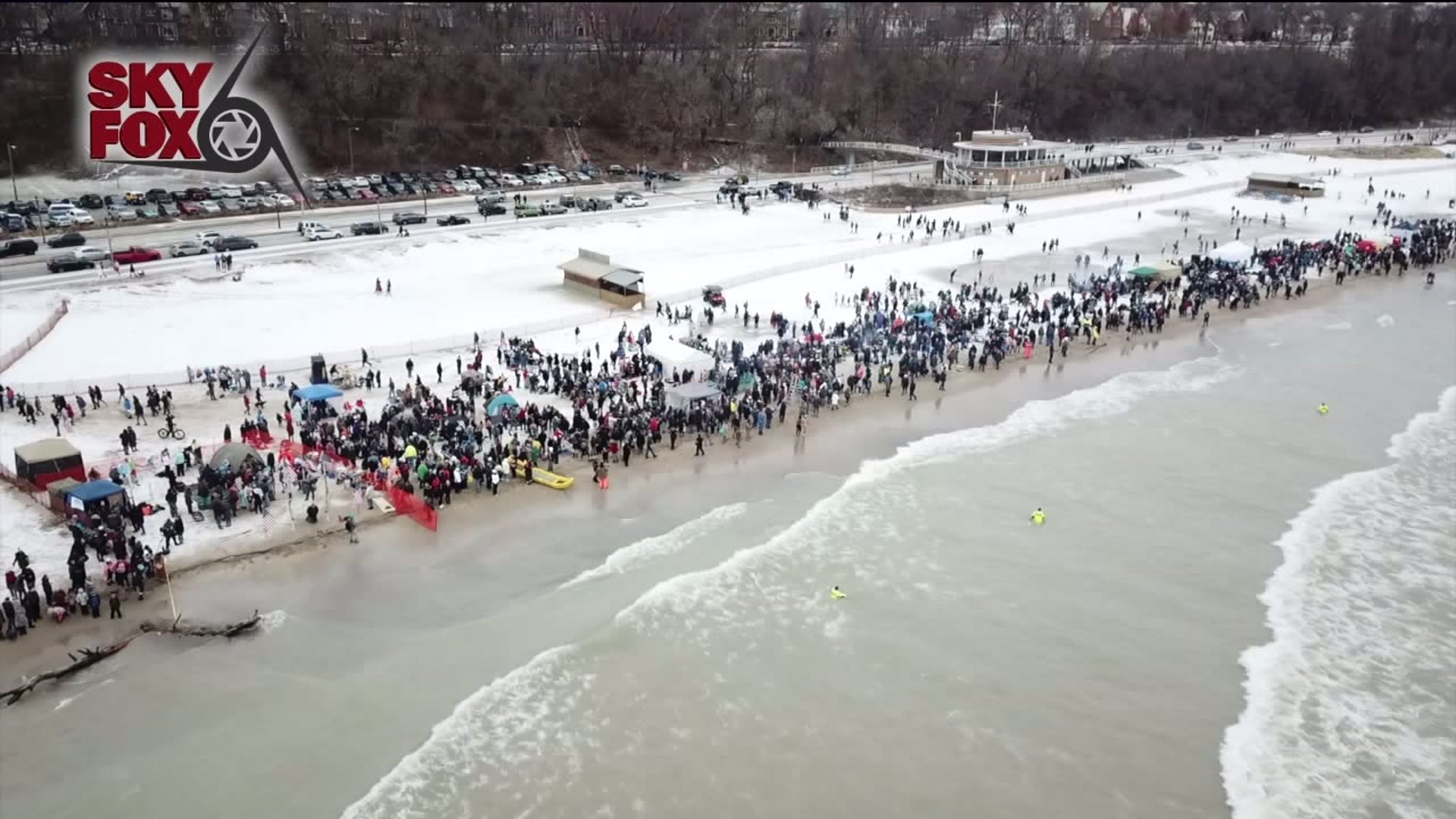 Polar Plunge 2019