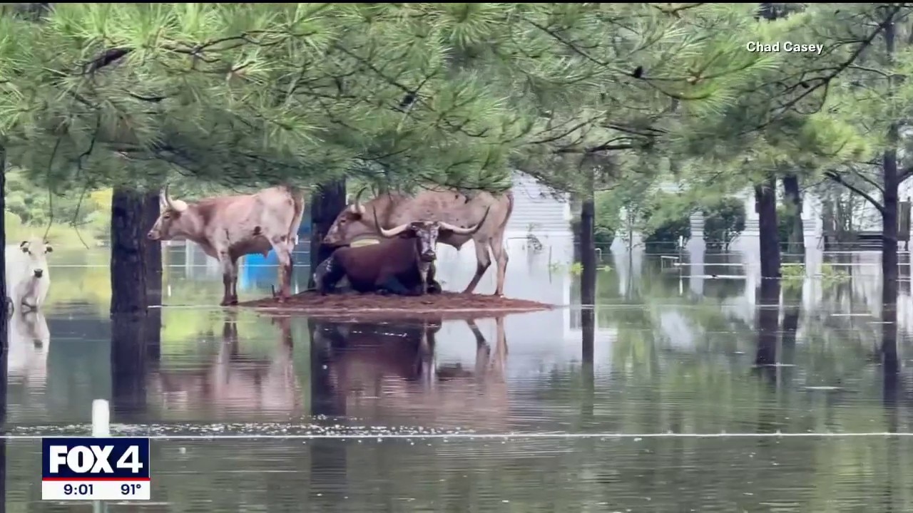 Southeast Texas slammed by Tropical Storm Edouard