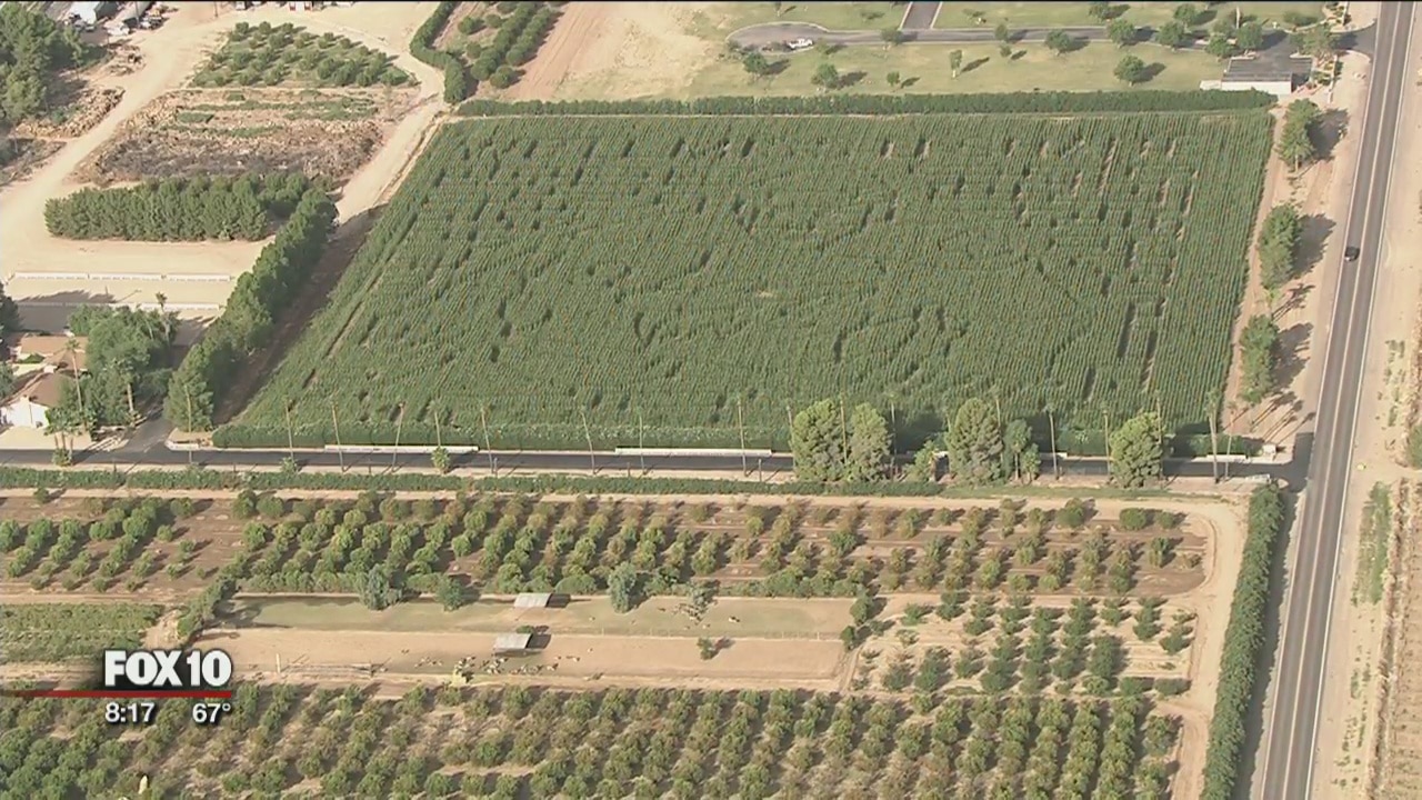 Shane Doan's likeness carved into corn maze at Schnepf Farms