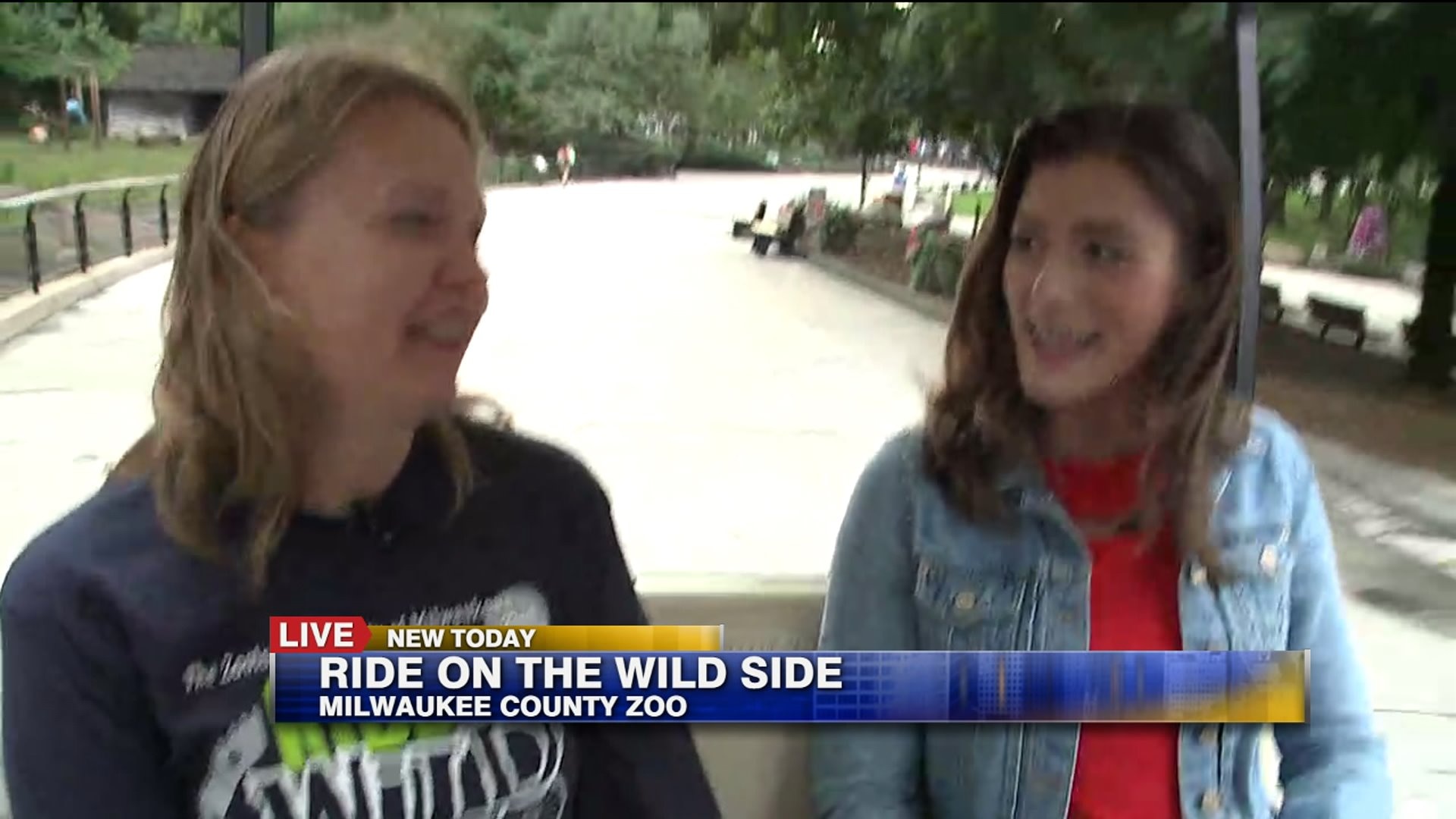 About Ride on the Wild Side