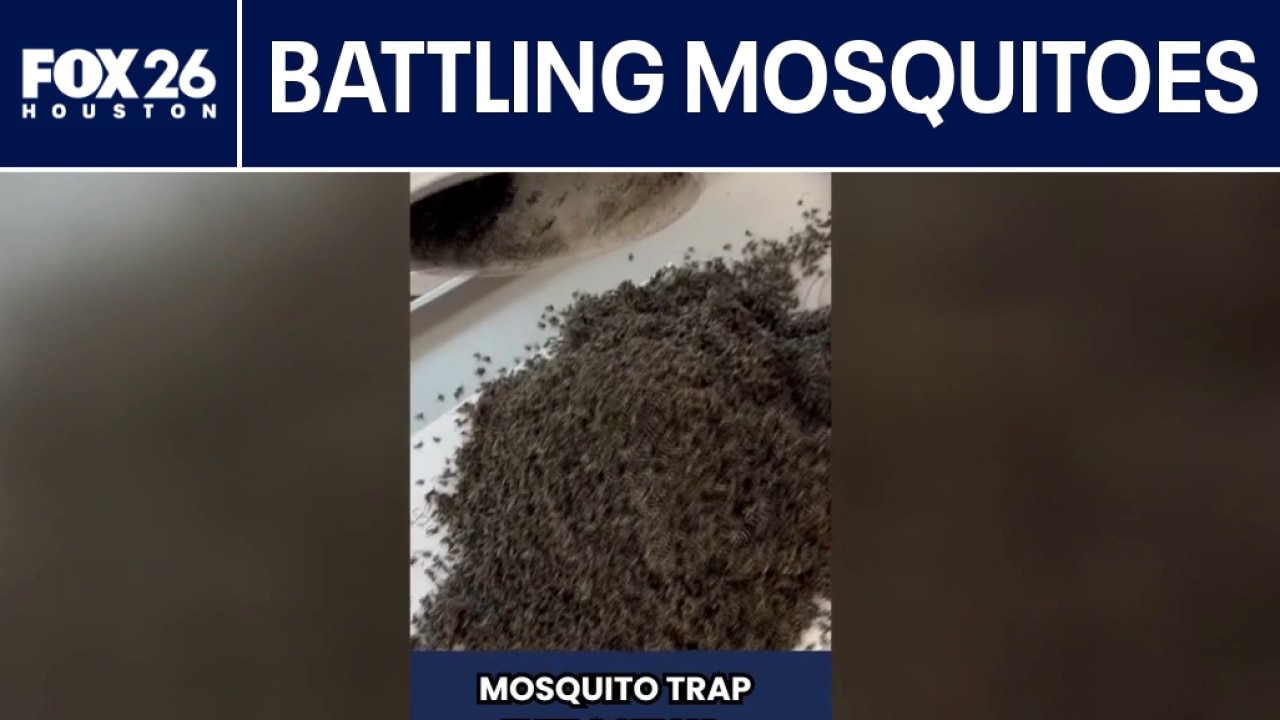 Fort Bend County combating mosquito emergency