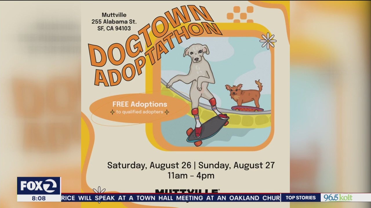 Muttville?s Dogtown ?Adopt-a-thon?