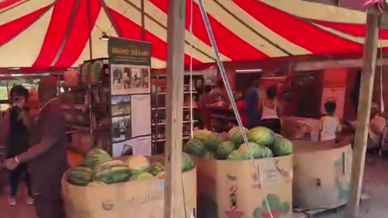Atlanta Harvest fights food deserts in Ellenwood