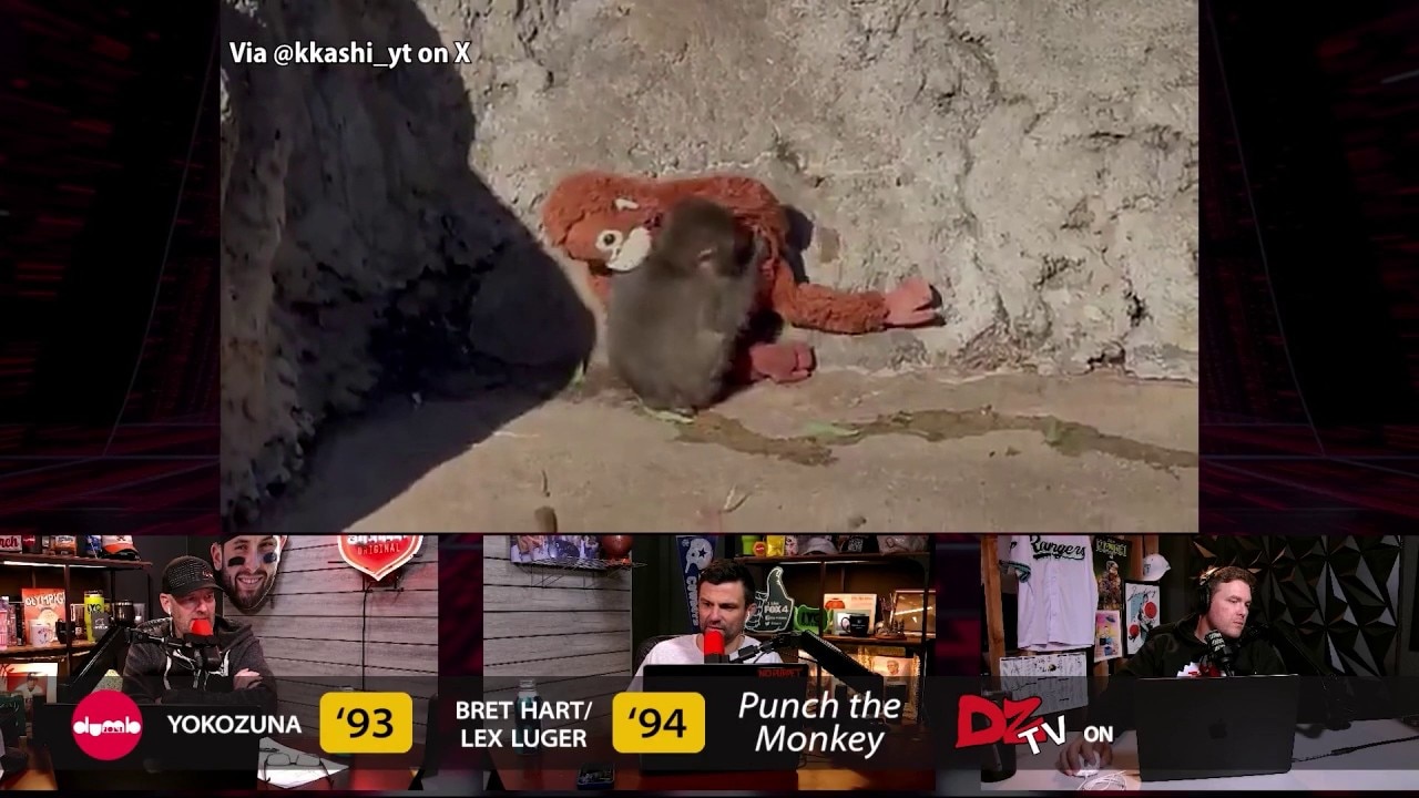 The Best of DZTV: Punch the Monkey | DZTV