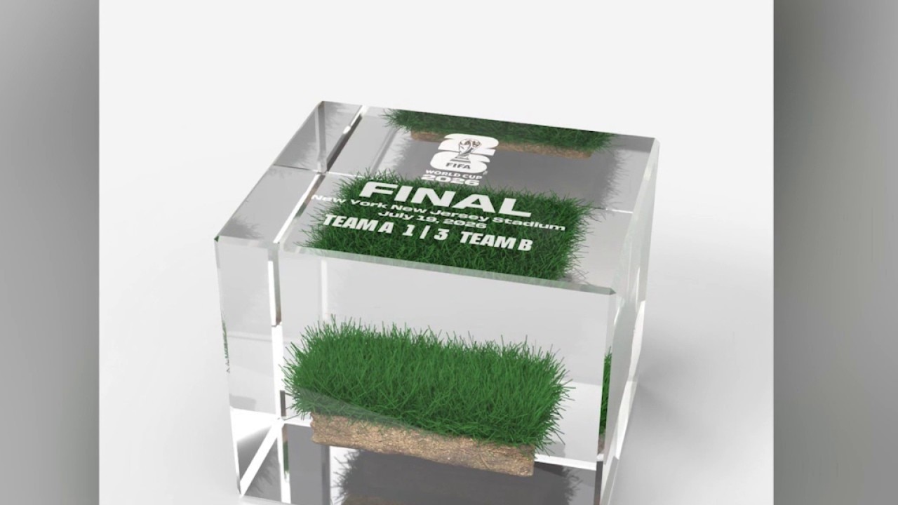 FIFA selling grass from World Cup final for $450