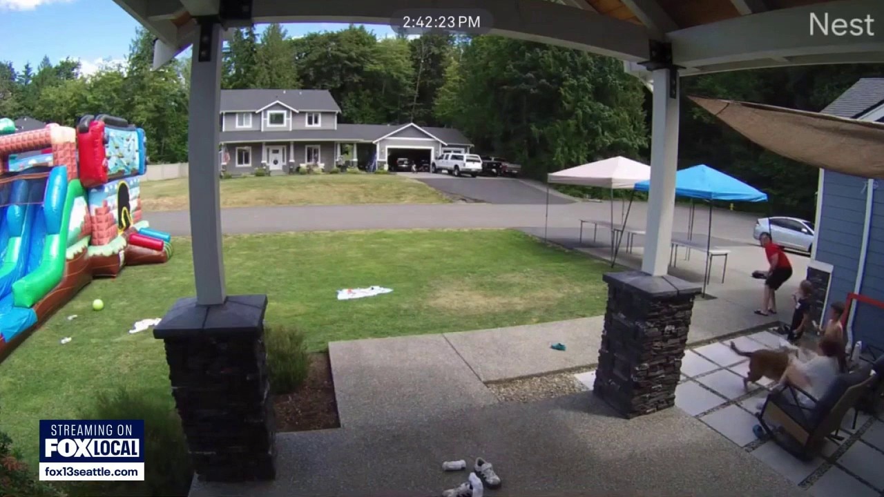 Families nearly struck by stray bullets in Arlington, WA