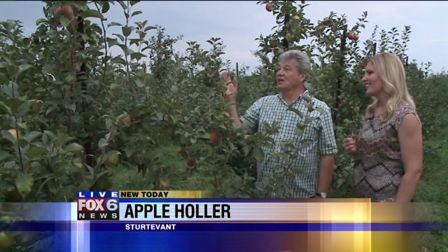 Choosing the best apples at Apple Holler in Sturtevant