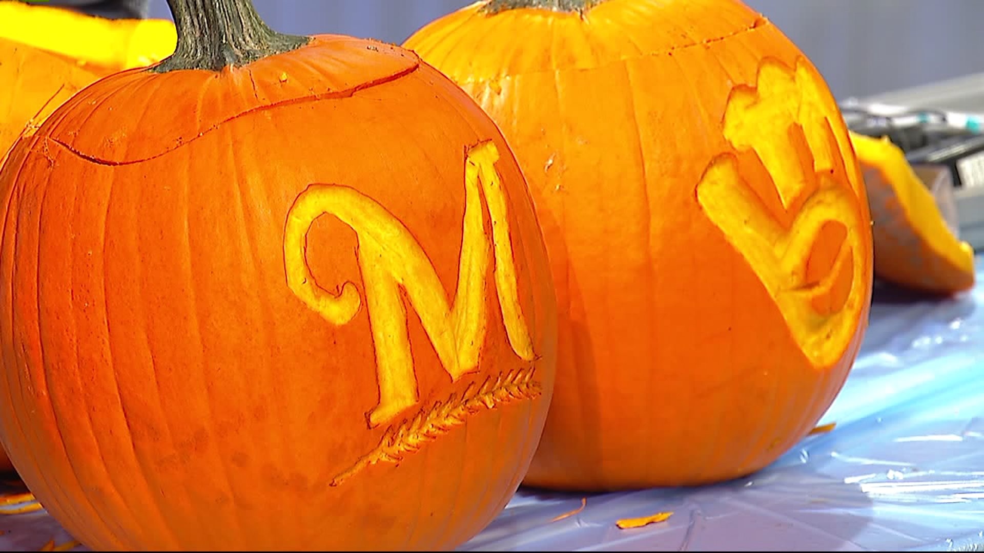 A look at the pumpkins