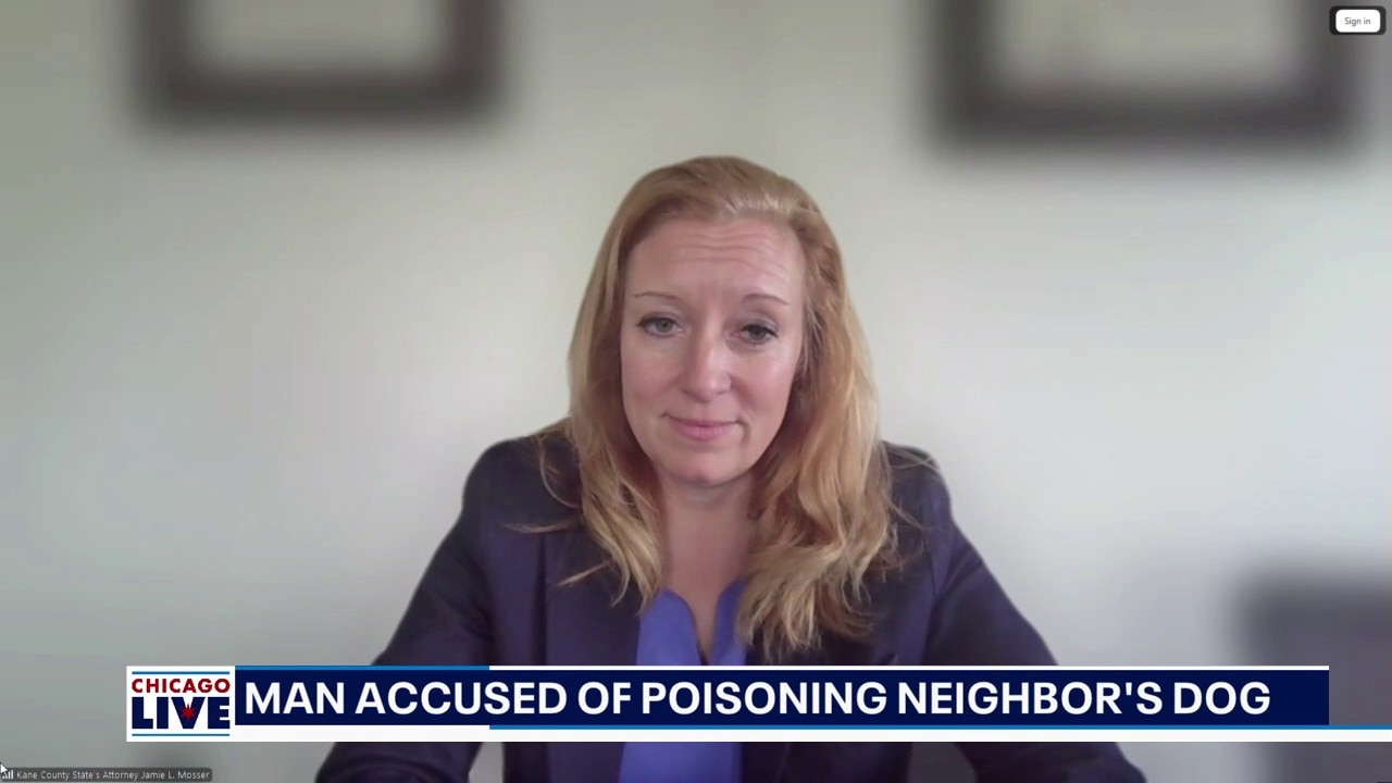 Man accused of poisoning neighbor's dog | ChicagoLIVE