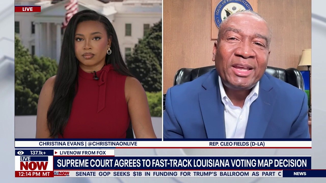 Supreme Court agrees to fast-track LA voting map decision