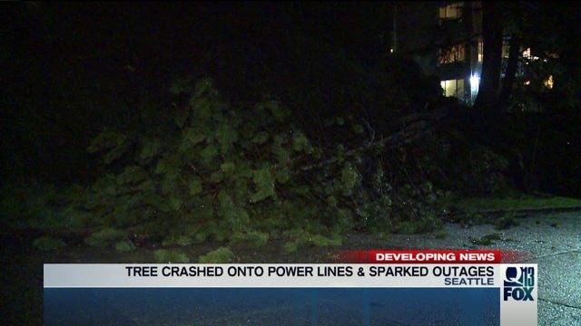 Trees crashed onto power lines & sparked outages | FOX 13 Seattle