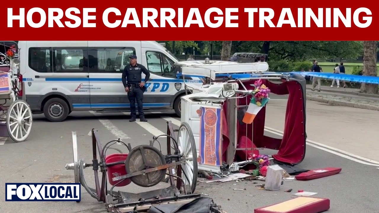 Horse carriage drivers to take refresher training