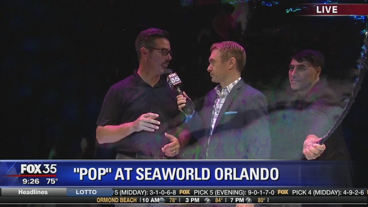 Pop at Seaworld Orlando