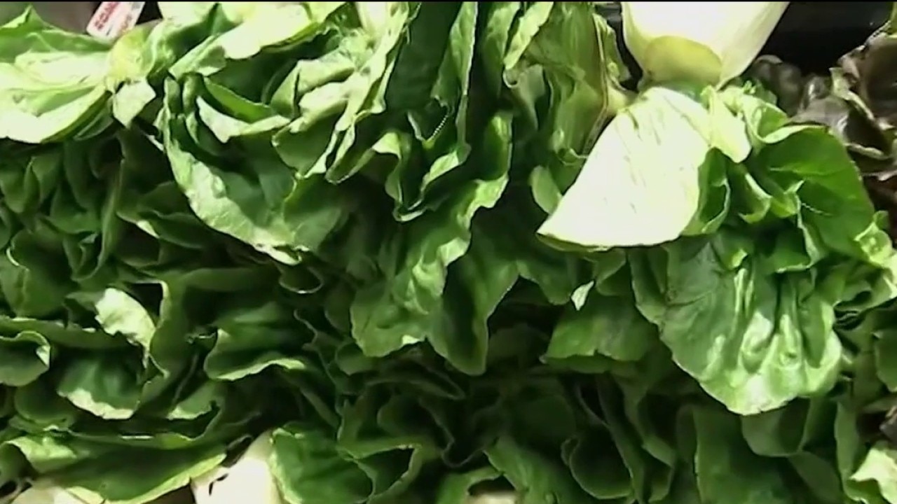 Taylor Farms pulls iceberg lettuce amid cyclosporiasis outbreak
