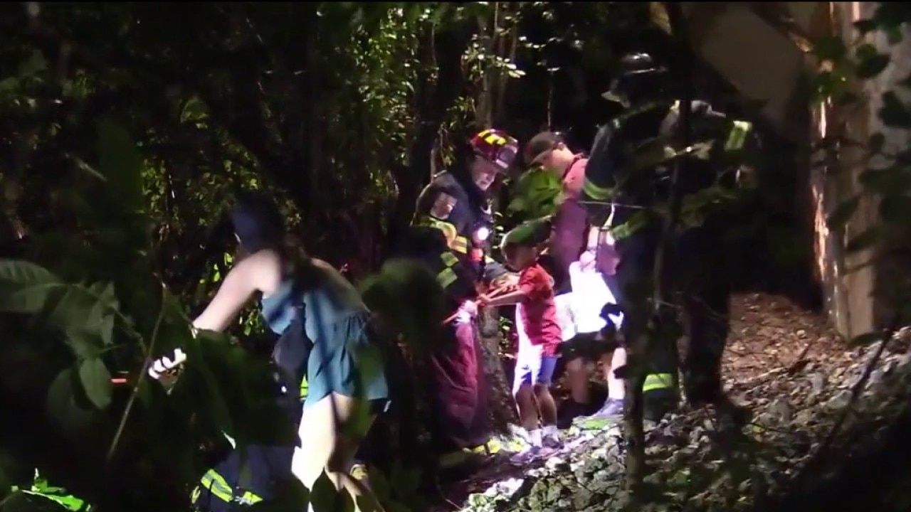 CTA passengers escorted to safety after tree lands on tracks