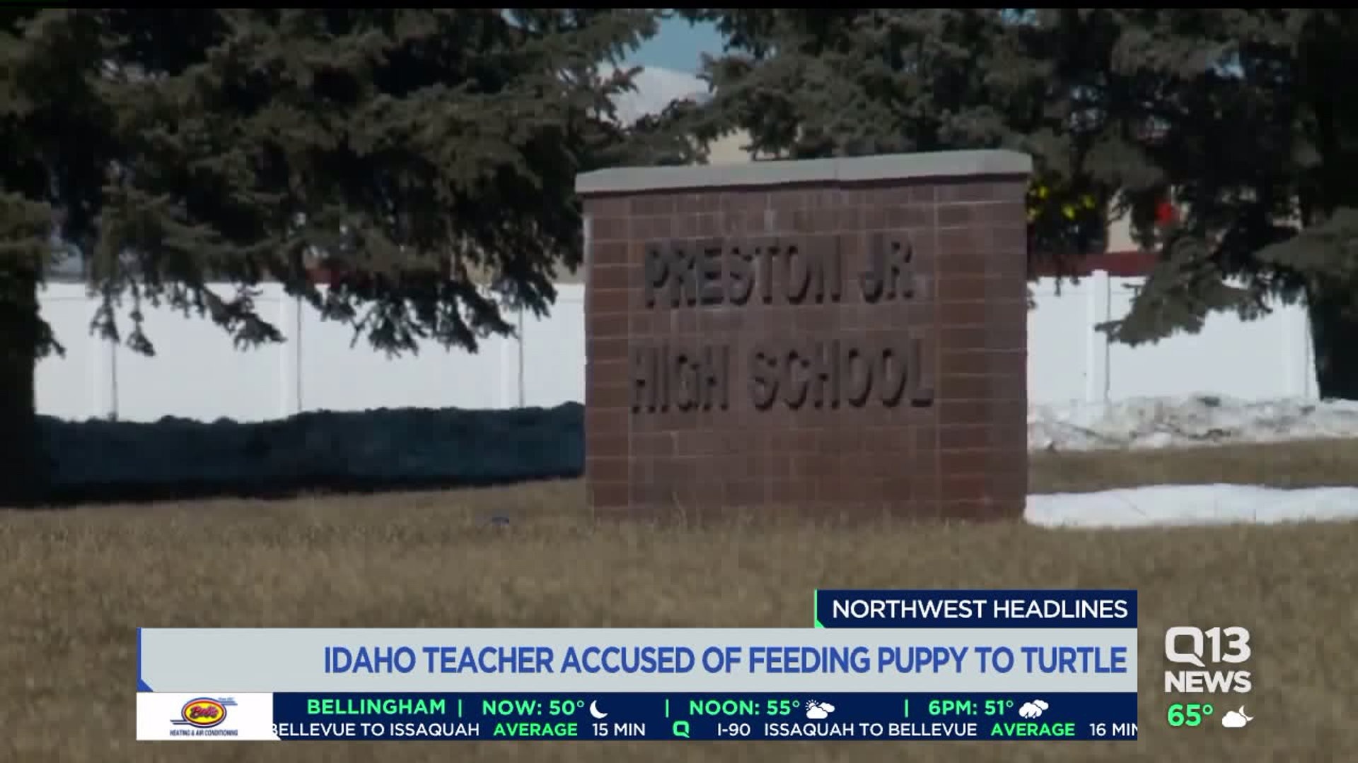 Teacher accused of feeding puppy to snapping turtle in front of students