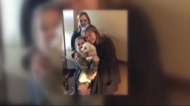 Dog snatched by eagle, found alive 4 miles away