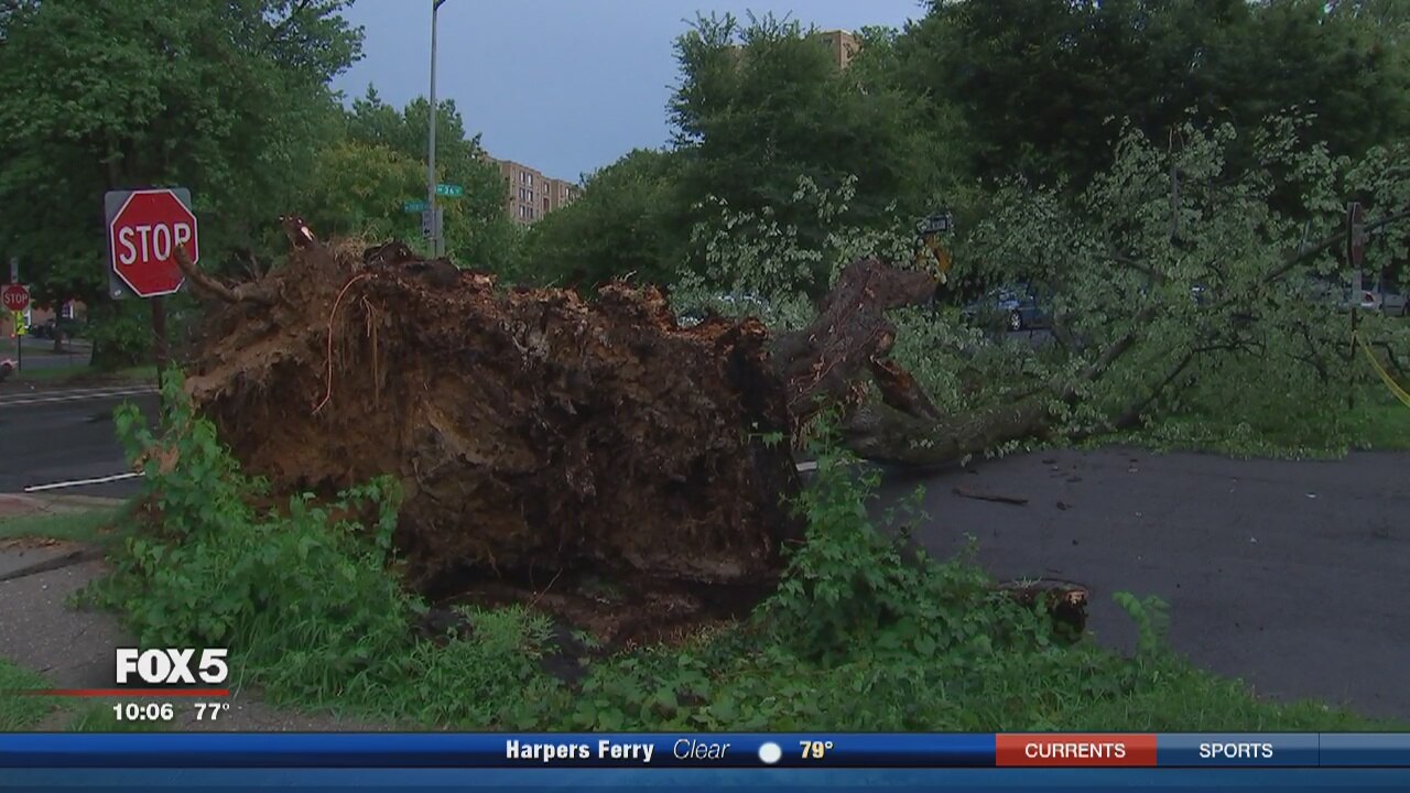 Storms bring down trees, damage homes, cause power outages