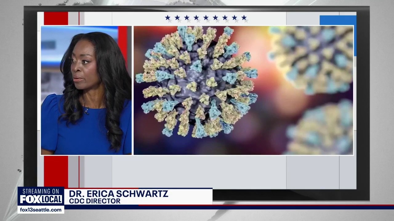 New CDC director recommends vaccines as flu season comes early