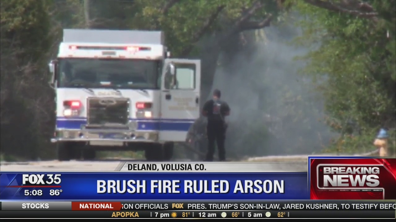 Volusia brush fire ruled arson