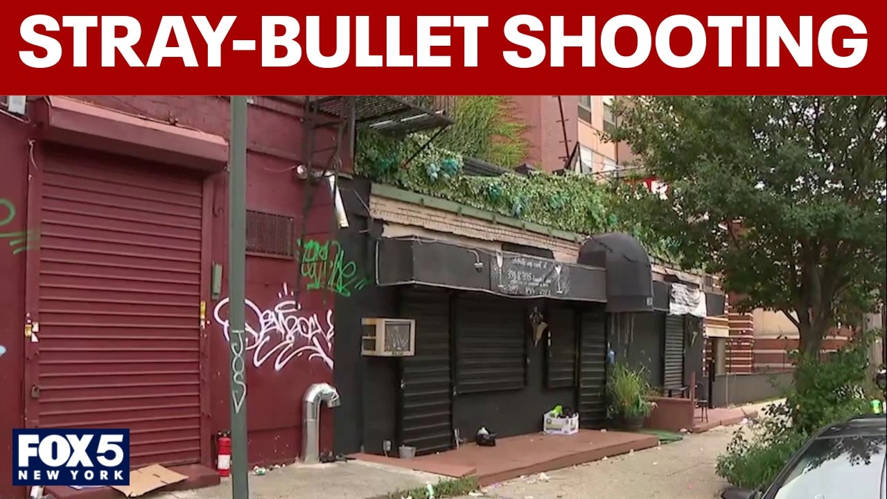Brooklyn mother of 5 killed in stray-bullet shooting, NYPD says