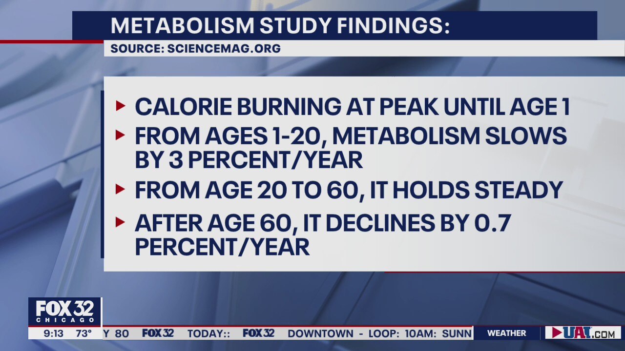 New study challenges assumptions about metabolism