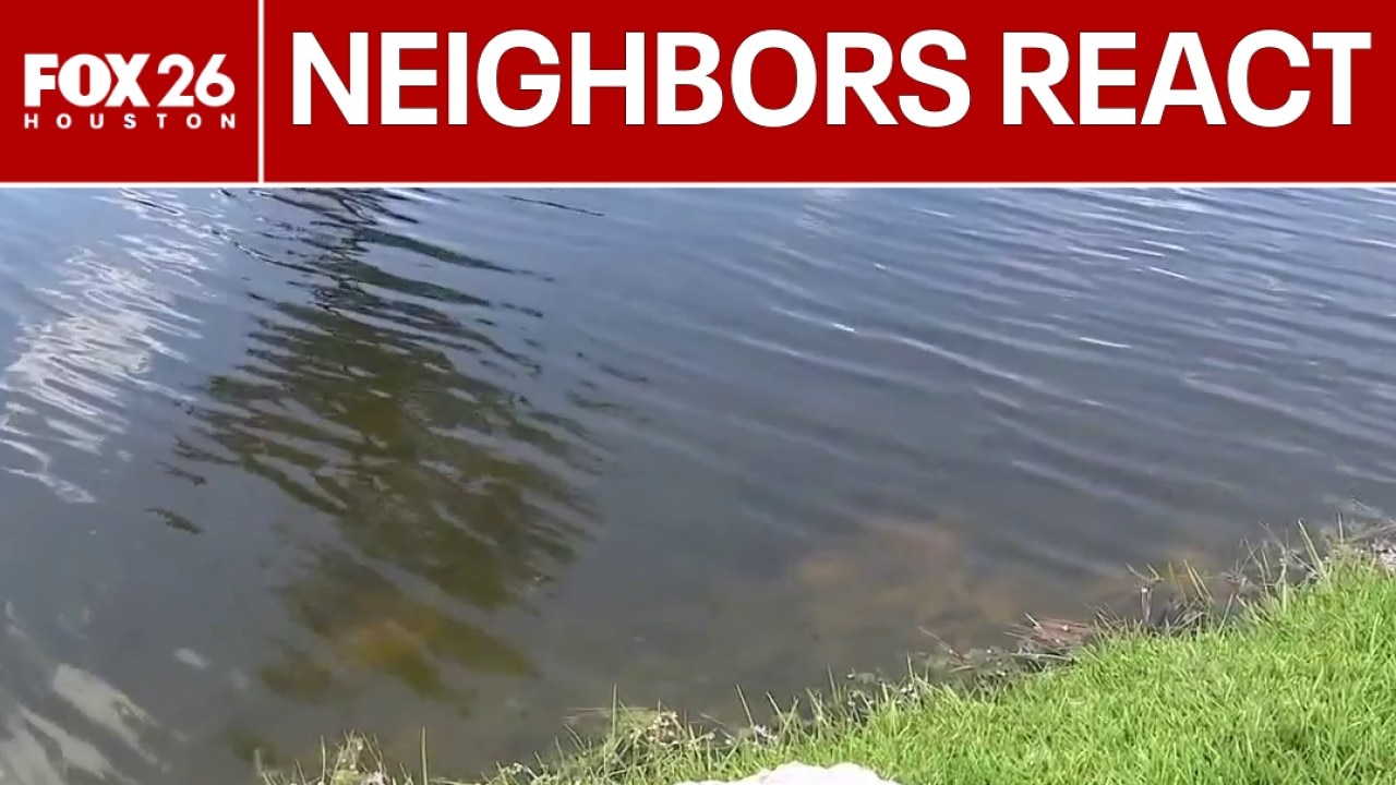 Spring neighbors say they tried to save drowning victims