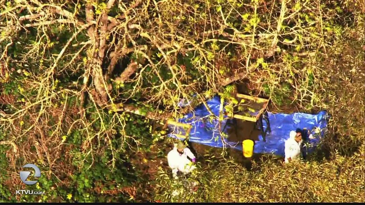 Adult male body found on Sonoma State University campus