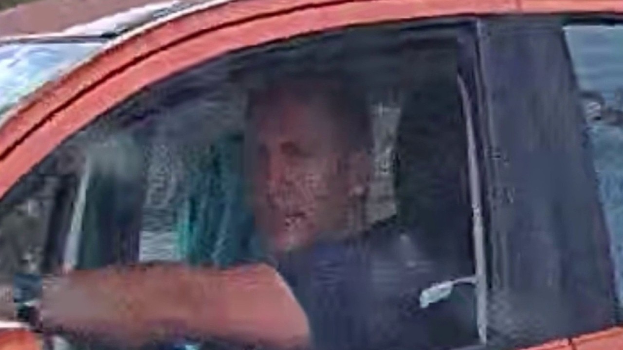 Driver accused of chasing couple and their dog