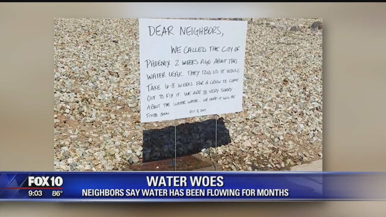 Water woes: Phoenix neighborhood experiences leaks for months